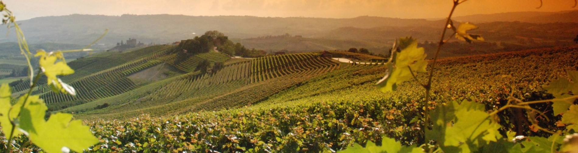 Direttamente presso la tua cantina